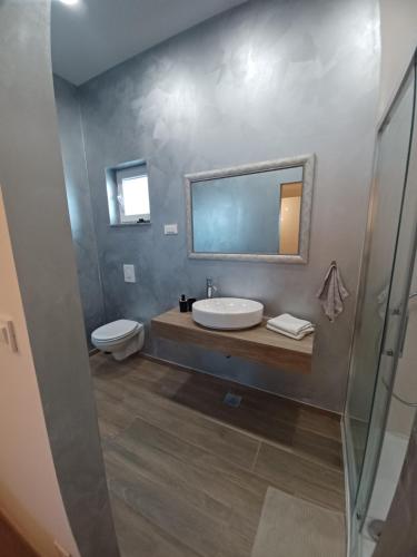 a bathroom with a sink and a toilet and a mirror at Apartman Franko in Izimje