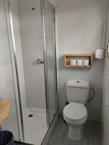 a bathroom with a toilet and a shower at Hotel Miranda do Douro in Miranda do Douro