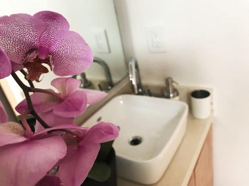 eine lila Blume in einer Vase neben einem Waschbecken in der Unterkunft Cerca de hospital infantil wtc centrico y seguro! in Mexiko-Stadt