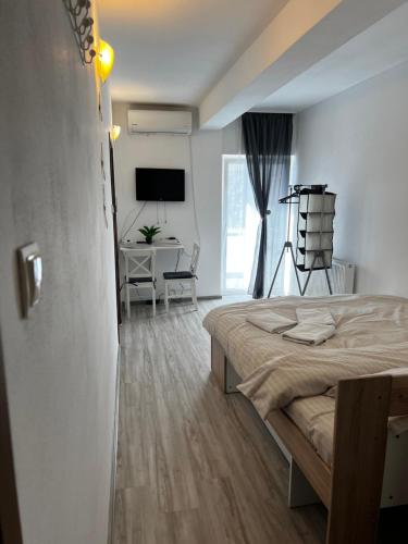 オラデアにあるcasa habana 2のベッドと机とテレビのある寝室