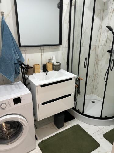 a bathroom with a washing machine and a sink at KK Apartament Piekarska Oficyna in Bytom