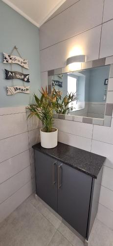 a bathroom with a counter with a plant on it at Island Flip Flop Holidays in Sedgefield