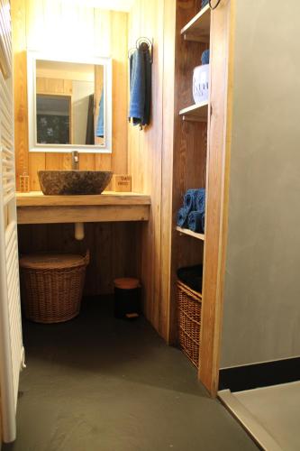 een badkamer met een wastafel en een spiegel bij 't Prentenhokkie in Stuifzand