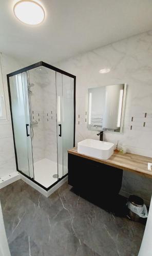 une salle de bain avec une douche en verre et un lavabo dans l'établissement Gite de la Renne, à Saint-Romain-sur-Cher