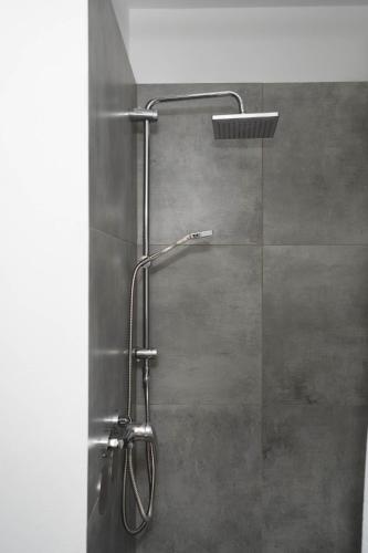 a shower with a shower head in a bathroom at Waldruhe Apartments Bad Essen in Bad Essen