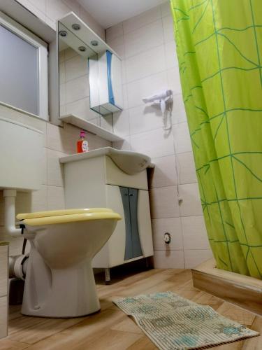 a bathroom with a toilet and a green shower curtain at Casa Pietrosu Rodnei in Borşa