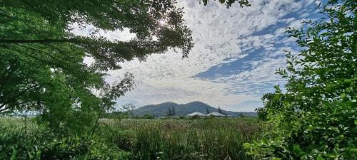 a view of a field with a mountain in the background at Chang Noi Hua Hin Pranburi fully accessible barrierefrei resort in Ban Nong Sua