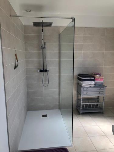 a shower with a glass door in a bathroom at Gîte "Le Millésime 61" in Flavigny