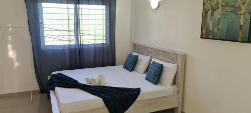 a bedroom with a bed with blue pillows and a window at Zeyden Place Apt in Praia