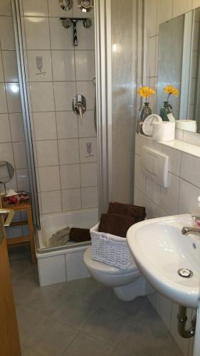 a bathroom with a shower and a toilet and a sink at Ferienwohnung Auszeit in Fischen