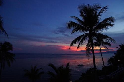 a palm tree with a sunset in the ocean at Blue Star Dive and Resort in Anda
