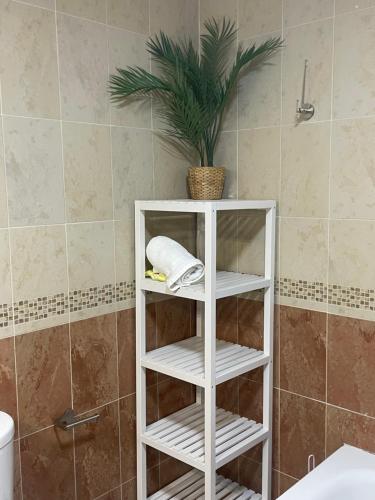 a white shelf in a bathroom with a plant at PISO EN EL CENTRO DE HUELVA SILENCIOSO Y CON GRAN PATIO, Calle La Paz in Huelva