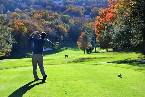 a man swinging a golf club on a golf course at Honeymoon Getaway in woods near NOC and Smoky Mtn RR in Bryson City
