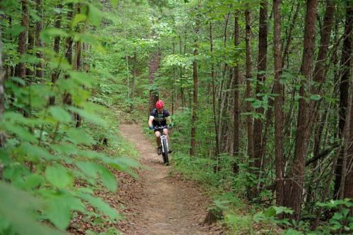 a person riding a bike on a dirt trail in the woods at Honeymoon Getaway in woods near NOC and Smoky Mtn RR in Bryson City
