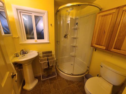 a bathroom with a shower and a toilet and a sink at Eagles Perch Retreat in Hansville
