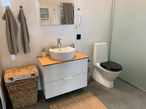 ein Badezimmer mit einem weißen Waschbecken und einem WC in der Unterkunft Hus med pool, badtunna och 450 m till havet in Beddinge Strand