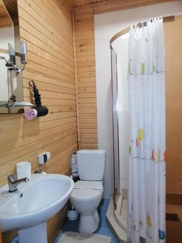 a bathroom with a toilet and a sink and a shower at Stara Khata Карпати in Sheshory