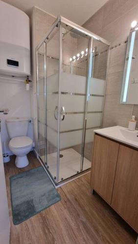 une salle de bain avec une douche, des toilettes et un lavabo dans l'établissement Chez K&D Studio Zen, à Saint-Raphaël