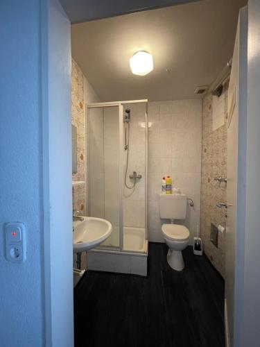 La salle de bains est pourvue d'une douche, de toilettes et d'un lavabo. dans l'établissement Wohnung in Stadtnähe Düren, à Düren
