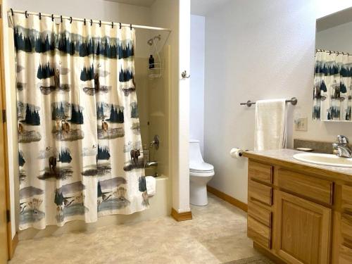 y baño con cortina de ducha, aseo y lavamanos. en Hot Tub-Awesome View-Secluded Apartment en Seeley Lake