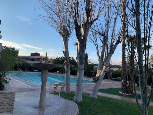grupa drzew obok basenu w obiekcie Apartamento moderno y coqueto en playa San Juan w Alicante