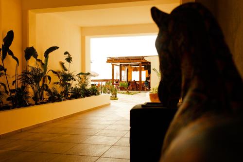 a cat sitting on a couch in a room with plants at Santa Martha Bungalows in Los Ayala