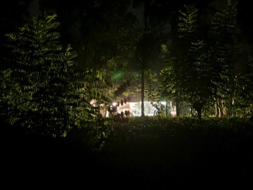 a forest with trees and a building at night at JAYANDRA HOLIDAY BUNGALOW in Waga