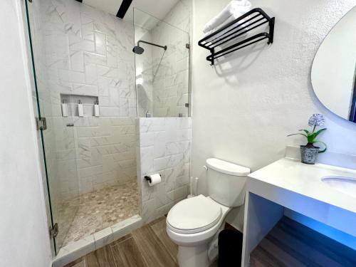 een witte badkamer met een toilet en een douche bij Loft Chianti en Val'Quirico in Santeagueda