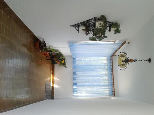 セニにあるApartment and Rooms Markovicのギャラリーの写真