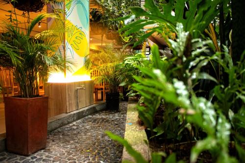 uma sala cheia de diferentes tipos de plantas em Green Hotel Medellin em Medellín