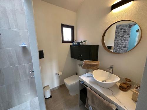 a bathroom with a sink and a toilet and a mirror at Loft Edoardo en Val'Quirico in Santeagueda