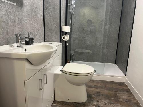 a bathroom with a toilet and a sink and a shower at Immaculate 2-Bed Apartment Town Centre in Cheltenham