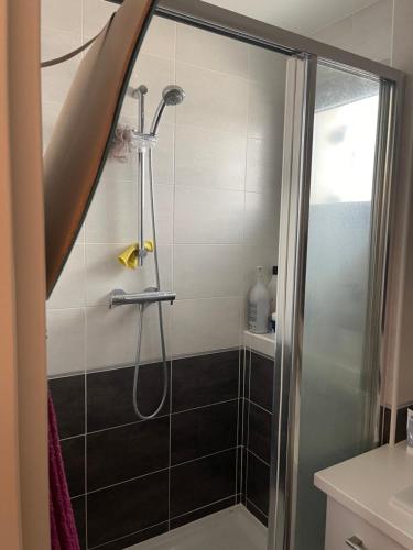 a shower with a glass door in a bathroom at Cerisier in Ségny