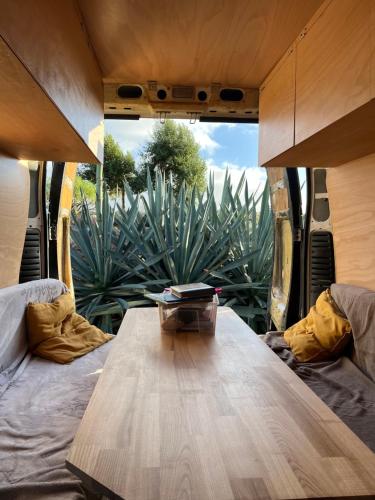 a wooden table in the back of a van with a plant at Campervan for family in Charco del Pino