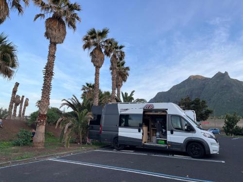 une camionnette blanche garée dans un parking avec des palmiers dans l'établissement Campervan for family, à Charco del Pino