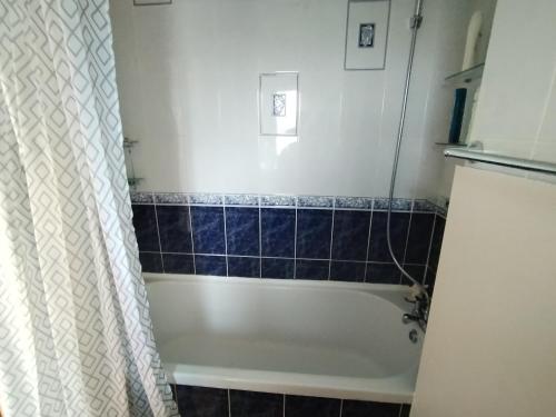 uma casa de banho com uma banheira e uma cortina de chuveiro em Cosy central London Apartment, EC1V em Londres