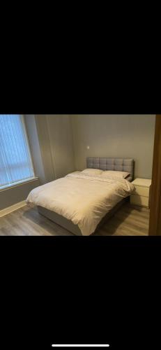 1 cama en un dormitorio con ventana en Town centre apartment en Motherwell