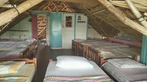 eine Gruppe von Betten in einem Zimmer mit Holzdecken in der Unterkunft Milimar Hostal in San Onofre
