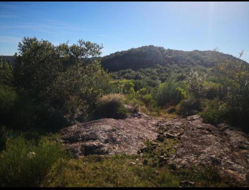 a large rock on a hill with trees and bushes at Alma Mía in Villa Serrana