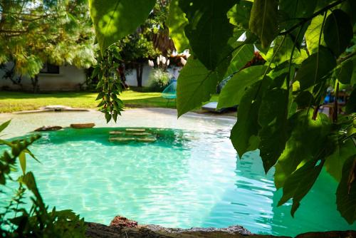ein kleiner Pool mit blauem Wasser im Hof in der Unterkunft Casa Mer, el oasis de la música y el agua in Tequisquiapan