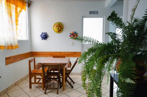 a dining room with a table and chairs and a plant at Hostal Casa Del Sol Comitan in Comitán de Domínguez