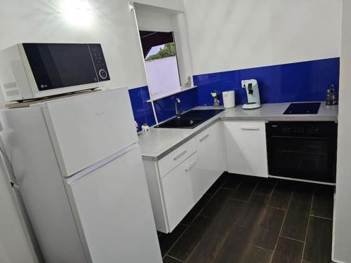 eine Küche mit einem weißen Kühlschrank und einer Mikrowelle in der Unterkunft Pitaya Lodge by Lodge Paradise in Sainte-Luce