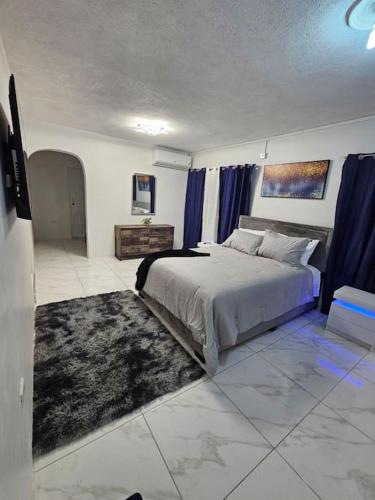 a bedroom with a large bed and blue curtains at Skywin Airbnb - 1 Bedroom Apt&Sofa Bed - HWT, KGN in Camperdown