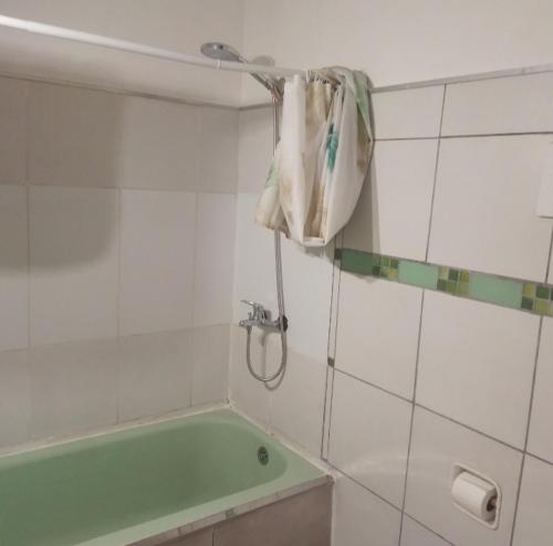a bathroom with a green tub and a shower at Buenos aires Obelisco in Buenos Aires