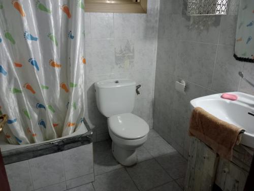 a bathroom with a toilet and a sink and a shower curtain at Barcelona Appartment in Santa Coloma de Gramanet