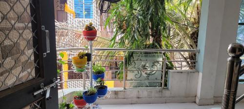 un grupo de macetas en un balcón en chirayu home stay, en Ujjain