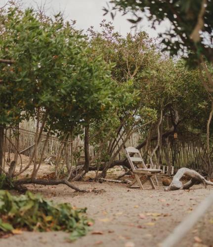 a chair sitting on the sand under trees at Tres Velas Surf in Celestino Gasca