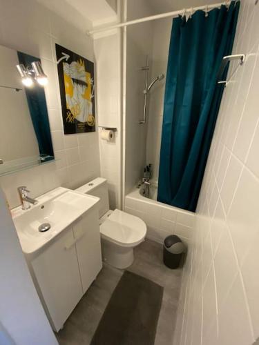 La salle de bains est pourvue de toilettes et d'un rideau de douche bleu. dans l'établissement studio hyper centre ville et gare, à Strasbourg
