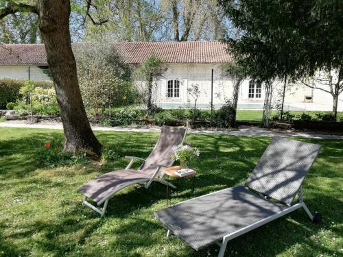 two chairs sitting in the grass next to a tree at Le Domaine Des Platanes in Bourg-Charente