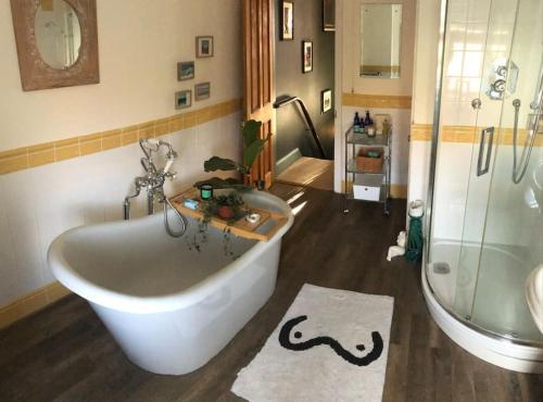 uma casa de banho com uma banheira grande e um chuveiro em Elegant, quirky home in up-and-coming Wolverton em Wolverton